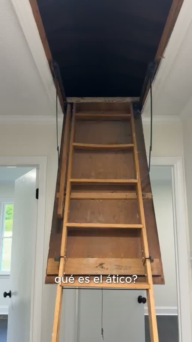 What to Check in an Attic